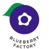 Blueberry Factory 岐阜