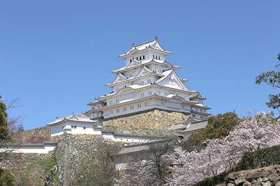 兵庫県 姫路市 ふるさと納税