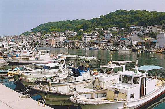 兵庫県 姫路市 ふるさと納税