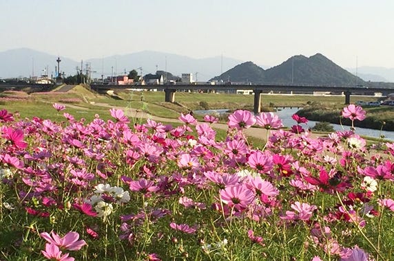 福岡県 飯塚市 ふるさと納税