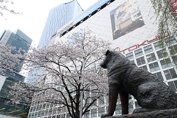 東京都 渋谷区役所 ふるさと納税