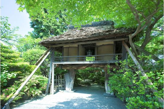 山ばな 平八茶屋