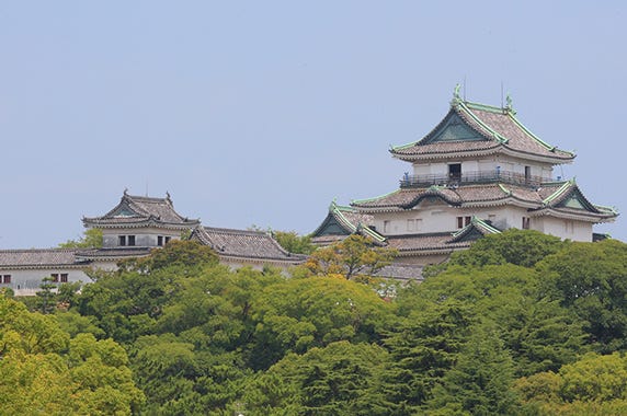 和歌山市 ふるさと納税