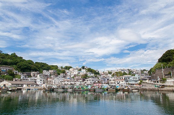 和歌山市 ふるさと納税