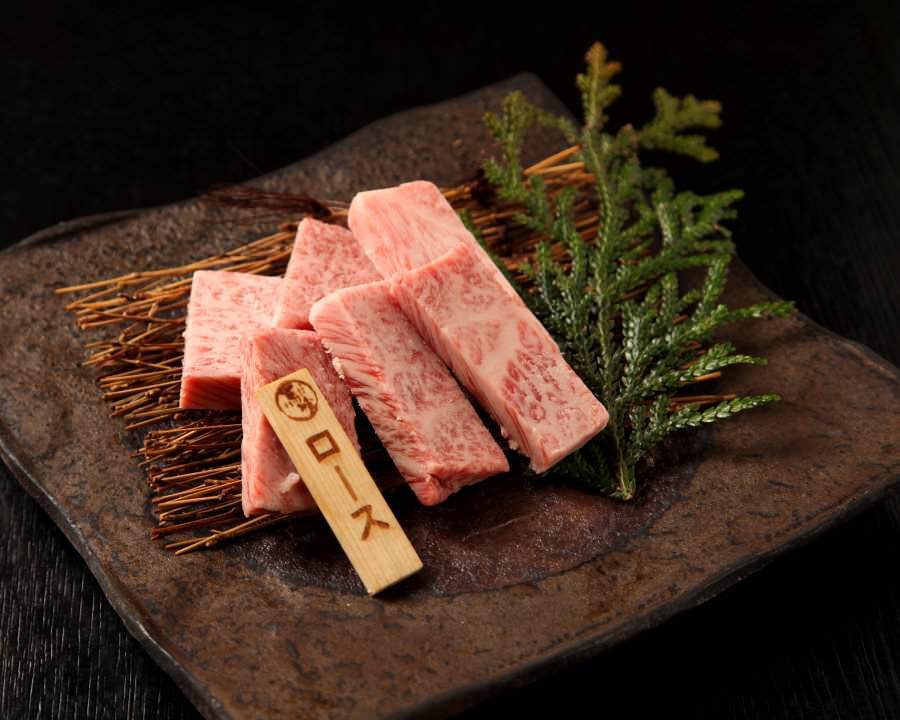 Gifu City & Around Gifu Tokai Destinations Travel Japan (Japan