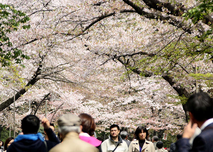 2: Ueno Park