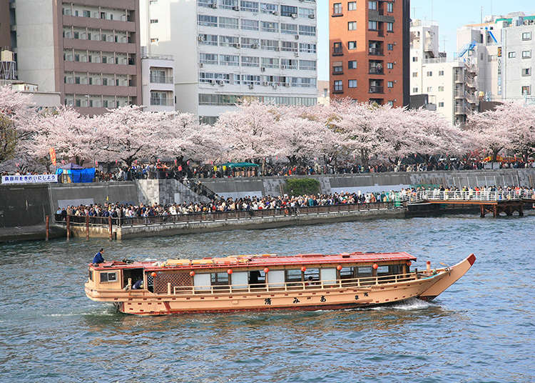 4: Sumida Park (Taito-ku)