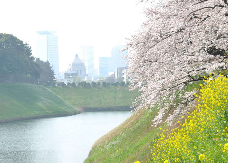 3. จิโดริกะฟุจิ (Chidorigafuji Park)