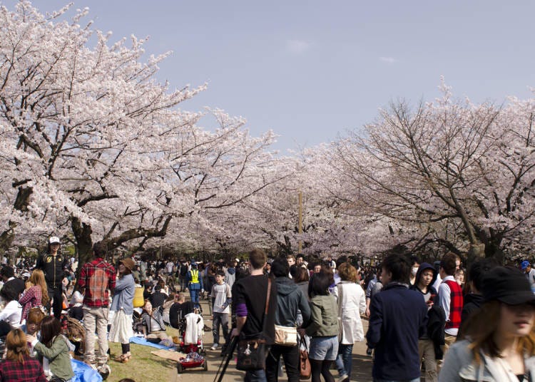 (C)Tokyo Metropolitan Park Association