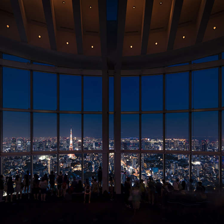 2. Roppongi Hills Observatory