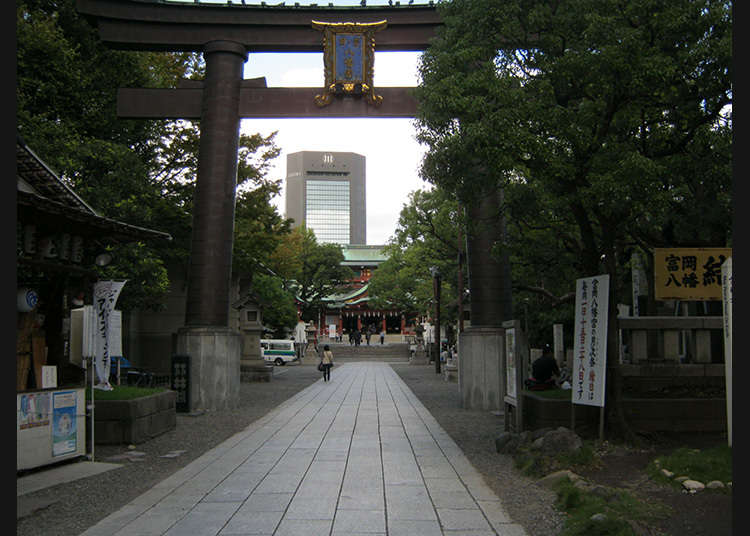 2: ศาลเจ้าโทะมิโอะกะฮะชิมังกู (Tomiokahachimangu)