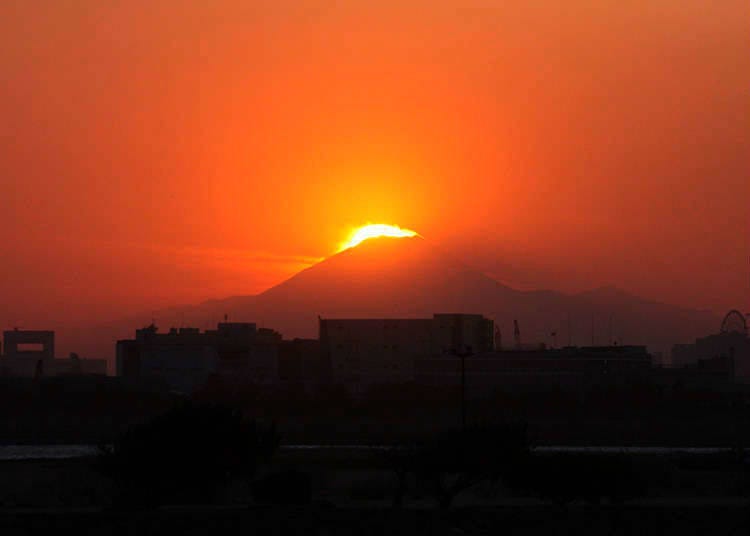 Race the Sun for Your Chance to See "Diamond Fuji" at the Tokyo Sea Life Park!