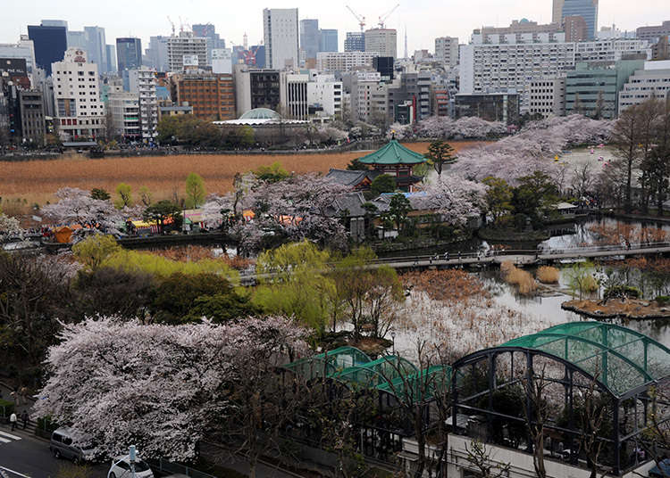 Kenapa dinamakan Uenonoyama (Gunung Ueno)?