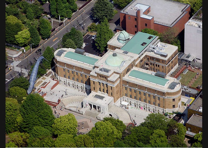 這些你都知道嗎 東京上野公園神祕的十個謎團 Live Japan 日本旅遊 文化體驗導覽