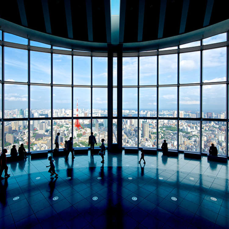 A Panoramic View of Tokyo