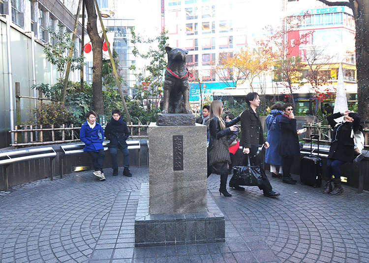 Tempat Bertemu di Shibuya