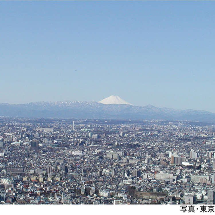 End on a High Note: Shinjuku Photos from the Tokyo Metropolitan Building