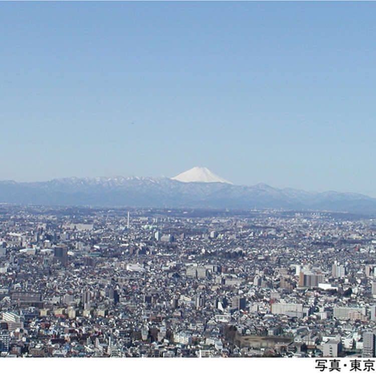 End on a High Note: Shinjuku Photos from the Tokyo Metropolitan Building