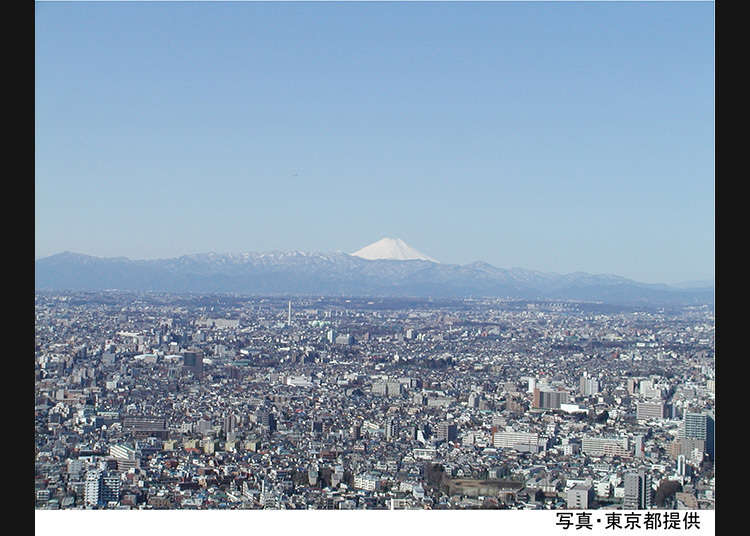 從東京都廳的特別展望台眺望的景色