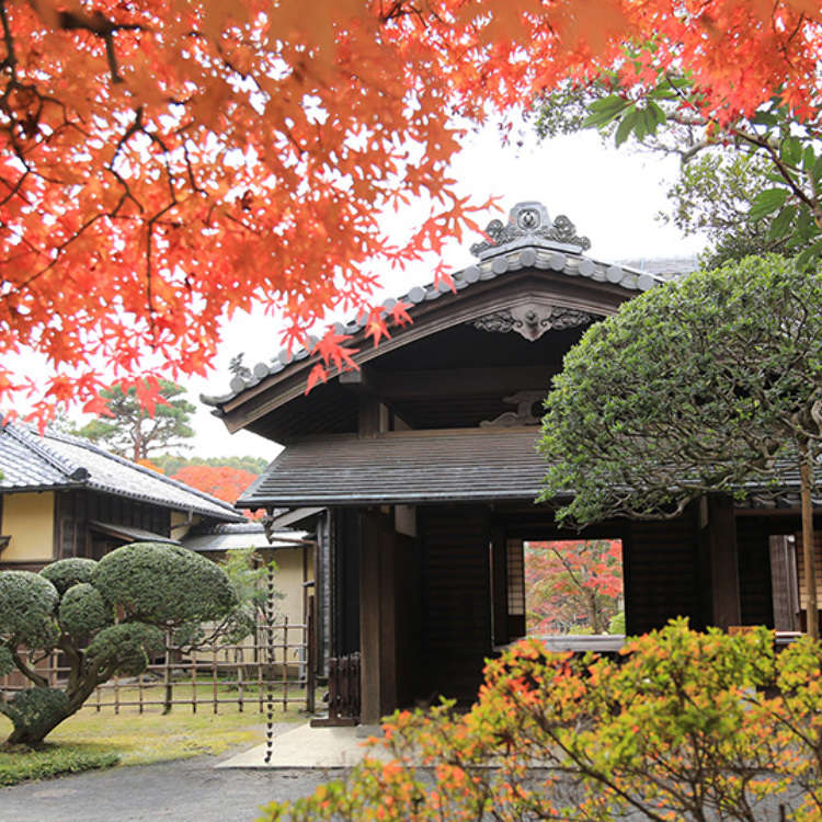 Elegance of Old: the Sakura Daimyo Domain