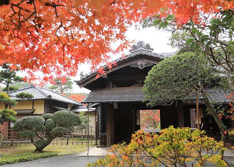 佐倉藩最後の藩主邸宅は旧大名家の風情