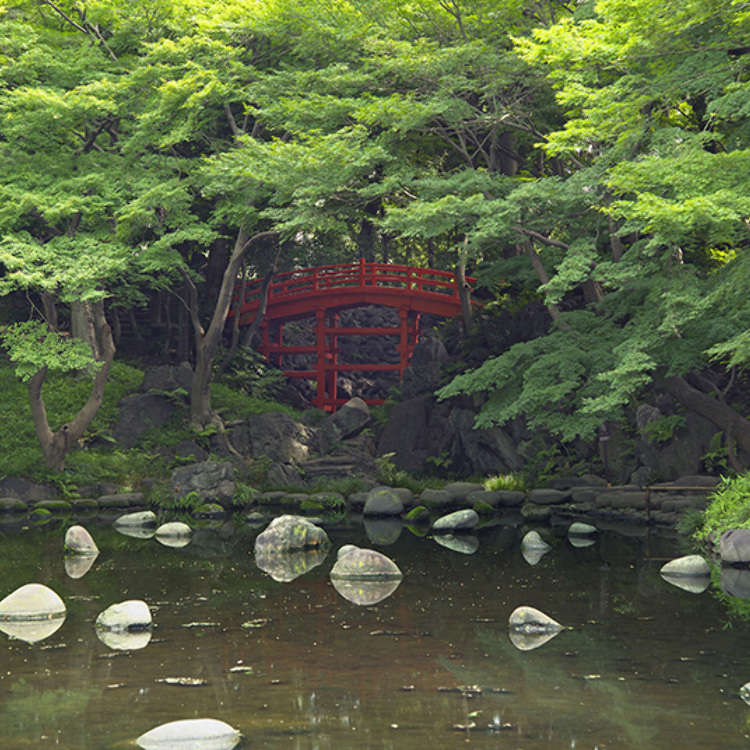 5 - The Koishikawa Korakuen Garden