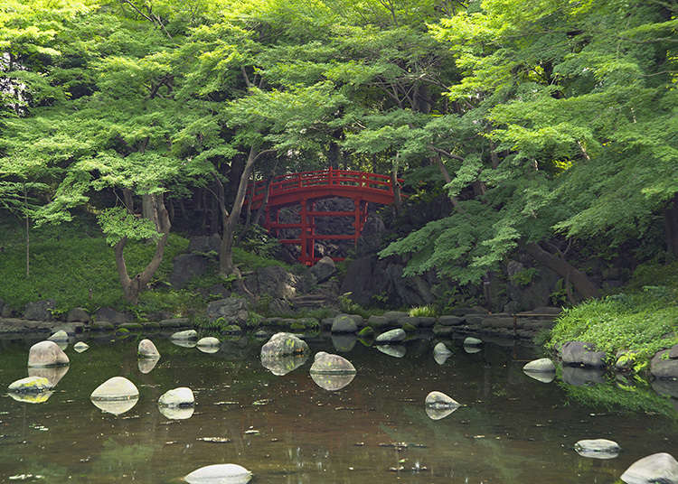 5 : Koishikawa Kōrakuen Garden