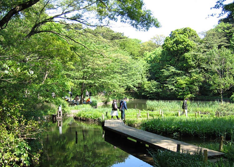 Freely Enjoy Artspace Surrounded by Greenery