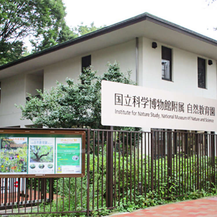 The Institute for Nature Study