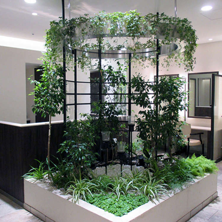 Shinjuku: Relaxing Space Filled with Water and Greenery