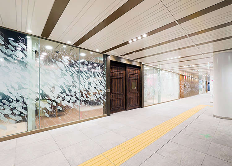 Shibuya: Daya Tarik yang Terletak pada Ruangnya yang Berwarna-warni
