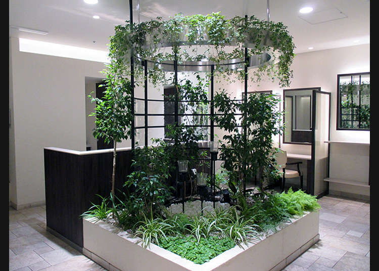 【新宿】充滿水與植物的療癒空間