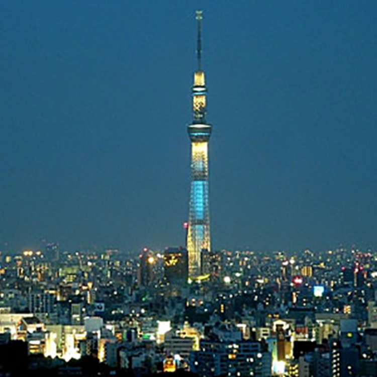 【后乐园】在观景休息室眺望夜景