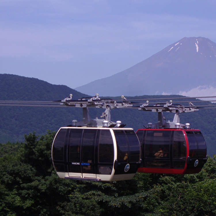 A Stunning View Overlooking the Four Seasons of Hakone