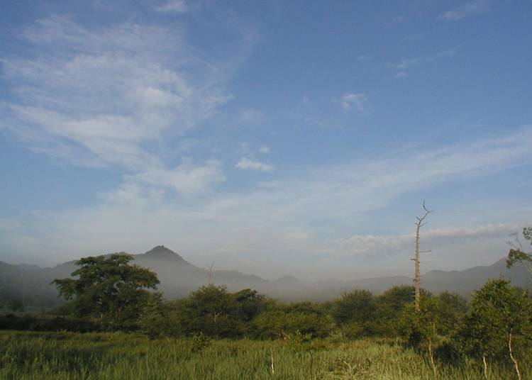 9. Senjogahara Plateau