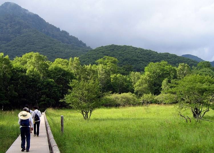 10. Odashirogahara Plateau
