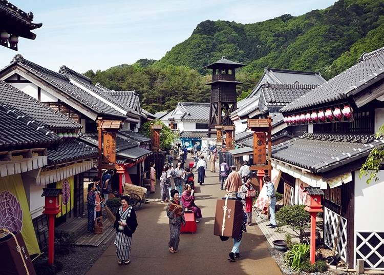 17. EDO WONDERLAND Nikko Edomura