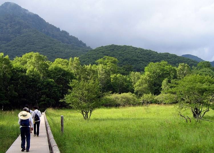 10．大草原が美しい「小田代ヶ原」