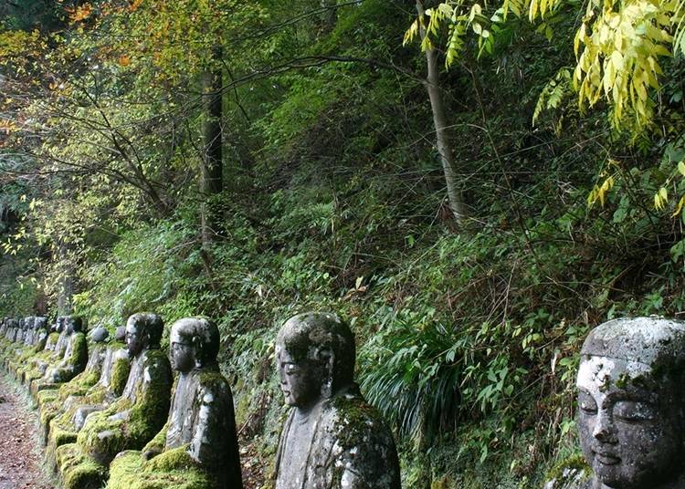 16. 간만가후치 심연-화산 분출로 생성된 신비한 협곡