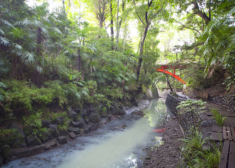 緑深い東京23区内唯一の渓谷を散策