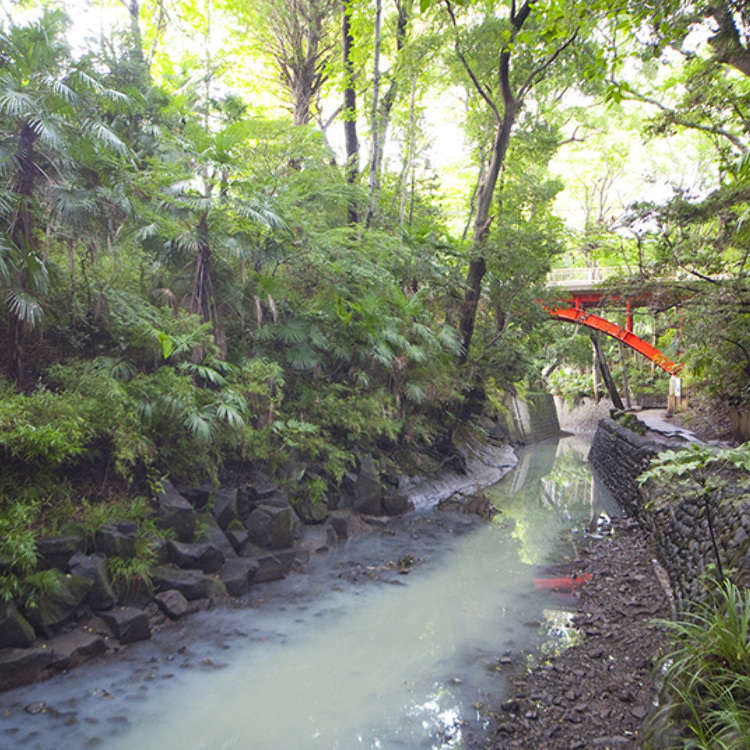 散步在东京23区里唯一一处绿意盎然的溪谷