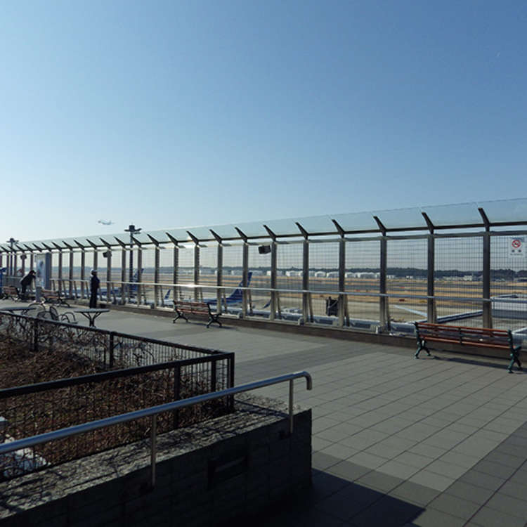 View Planes from an Observation Deck