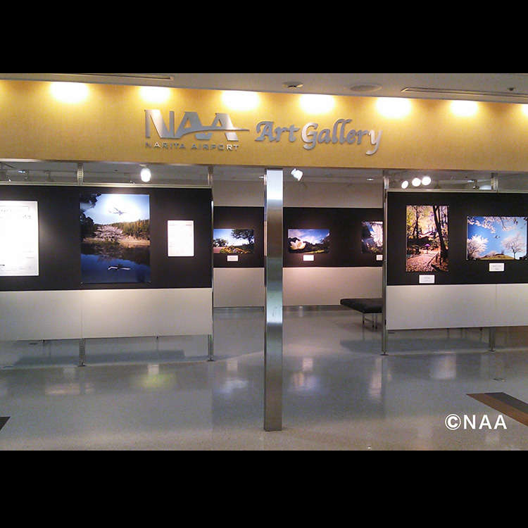 Art Appreciation at the NAA Art Gallery