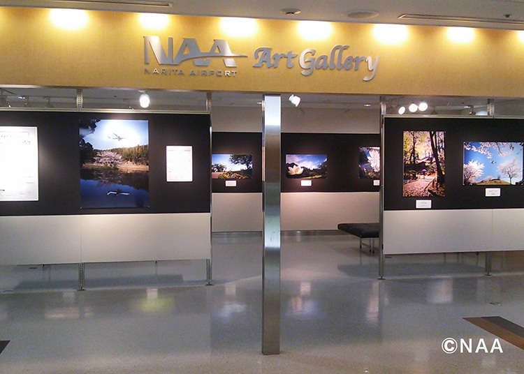 ชมงานศิลปะที่ "NAA Art Gallery"