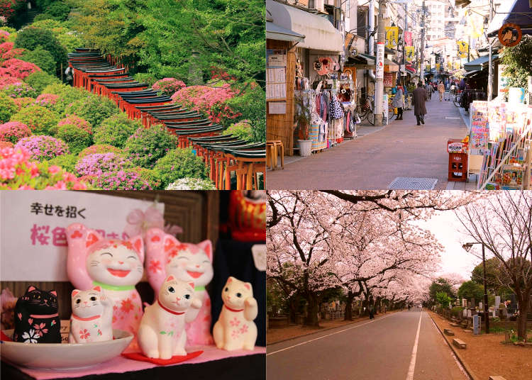 谷根千でやっておきたい10のこと Live Japan 日本の旅行 観光 体験ガイド