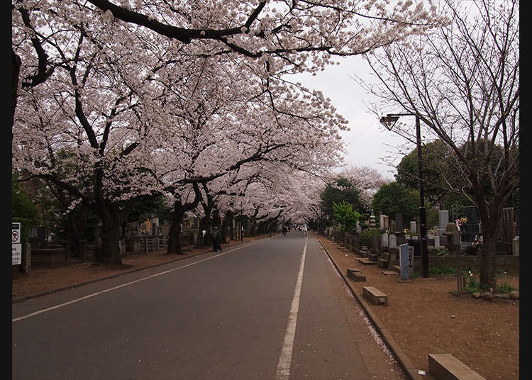 Berjalan di Yanaka Cemetery untuk Mengenal Kuburan Jepang
