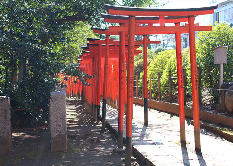 Melalui pintu gerbang Otome Inari di Kuil Nezu!