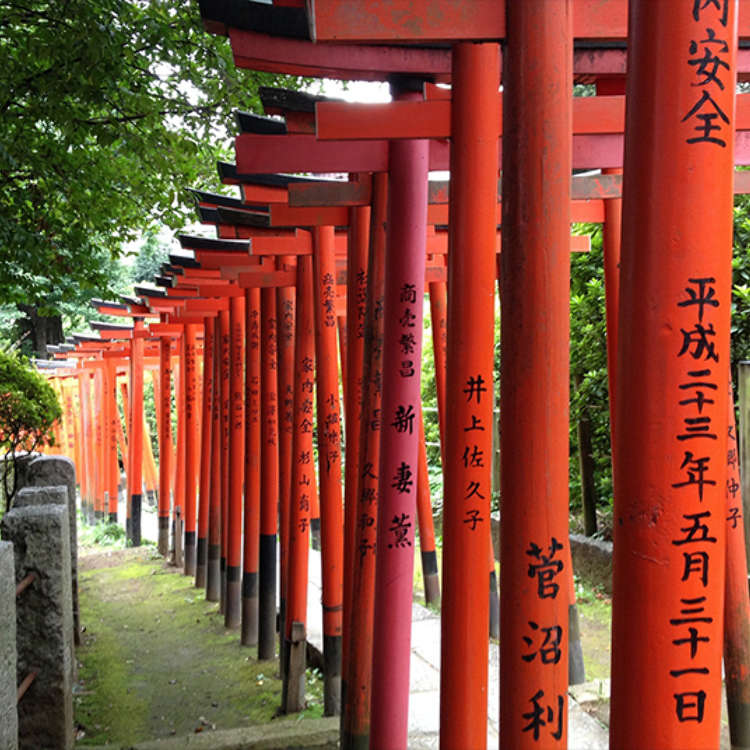 Capture the Mysterious Atmosphere of the Nezu Shrine Precinct at the Shrine Gate of the Otome Inari Shrine