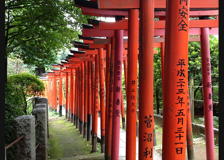 Tenggelam dalam suasana misteri di pintu gerbang Otome Inari di "Kuil Nezu"