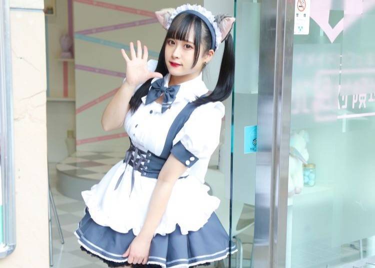 (Photo courtesy of Akiba Zettai Ryoiki)